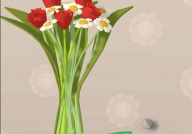 保利花店小姐姐,邂逅浪漫，绽放生活之美